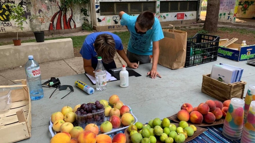Održana akcija "Jestiva gradska dvorišta" - učestovalo 90 volontera, svih generacija