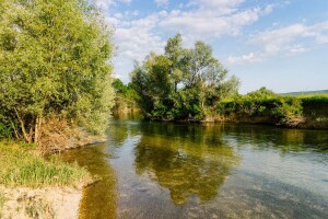 Pomor ribe na Mostarskom blatu?
