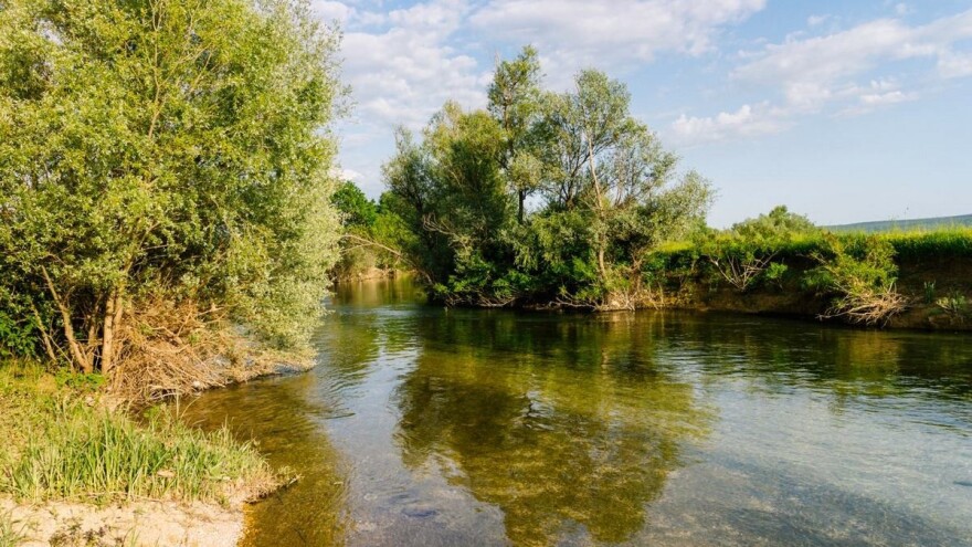 Pomor ribe na Mostarskom blatu?