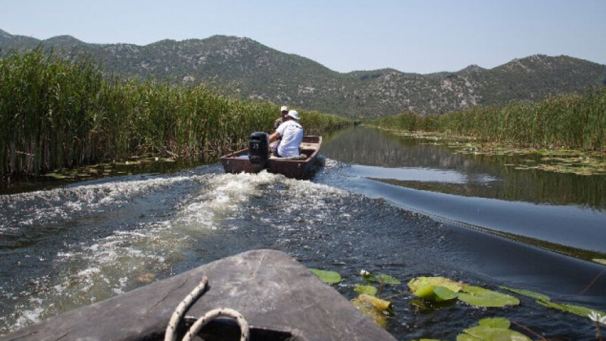 Promo: Dolina mandarina, hrvatska Kalifornija