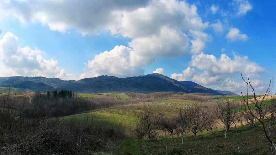 Planina Cer stočarski raj