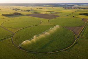 Možemo proizvesti hrane za osam do deset milijuna stanovnika