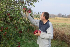 Marjan Pavičić nakon 10 godina života u tuđini vratio se u Gospić gdje se bavi voćarstvom i pčelarstvom