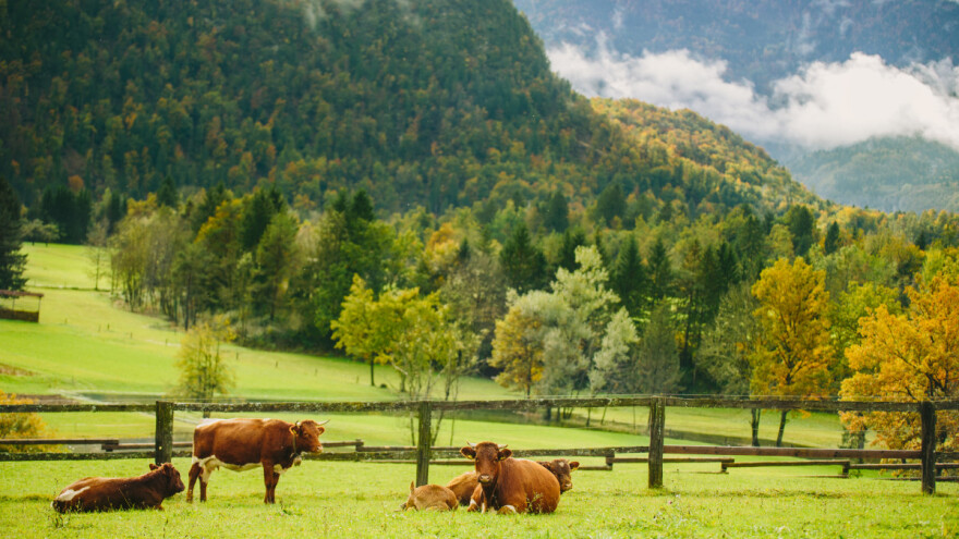 Stop cjepkanju poljoprivrednog zemljišta, za Austrijom zaostajemo samo 64 godine!