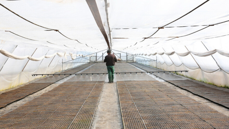 Vodič podmjere 6.1. za mlade poljoprivrednike