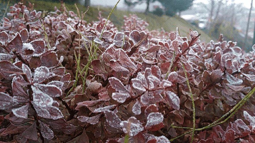 Sa stabilizacijom vremena dolazi do pada temperatura i jutarnjih mrazeva