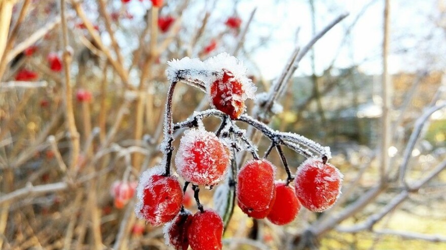 Opasnost od mraza još nije prošla, tek od četvrtka toplije