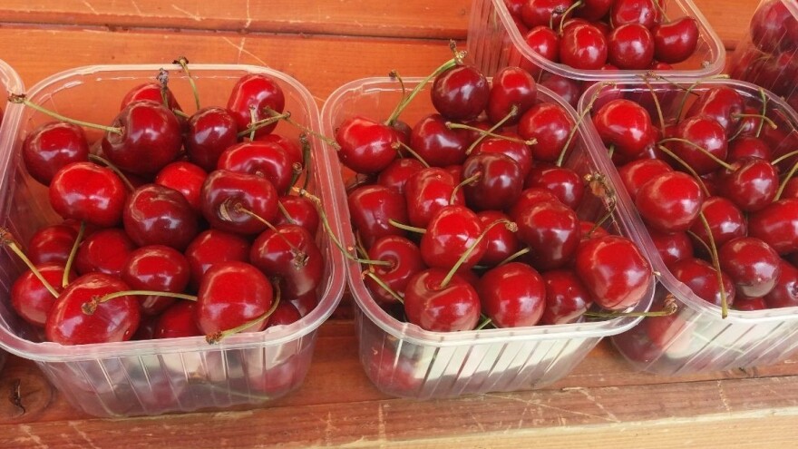 Mraz poharao i nasade trešanja, ponovila nam se crna 2017. godina