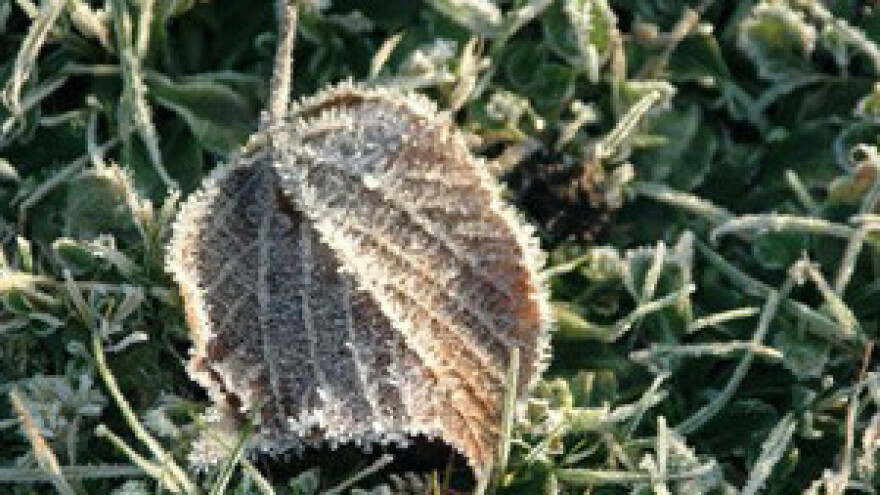 Proglašena elementarna nepogoda za Jastrebarsko i Orle