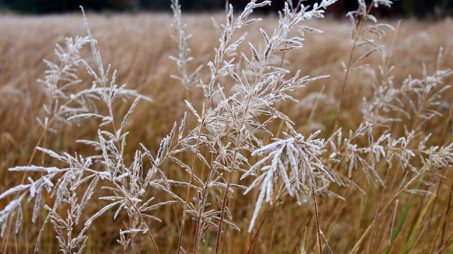 Do nedelje suvo i hladno, sa umerenim mrazom