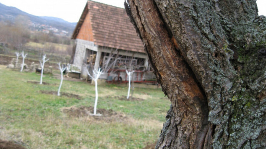 Šta je mrazopuc i kako ga sprečiti?