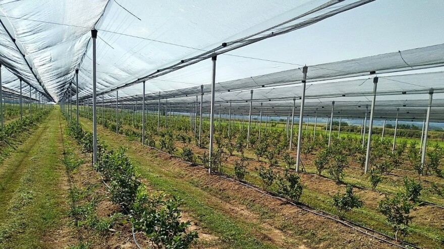 Juče isplaćeno više od milion KM za podršku Protivgradnoj preventivi