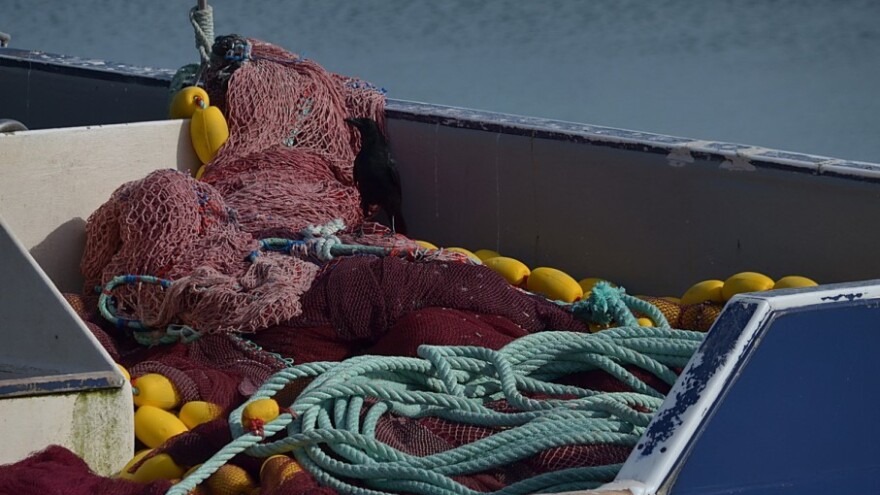 Prve isplate ribarima za obustavu aktivnosti