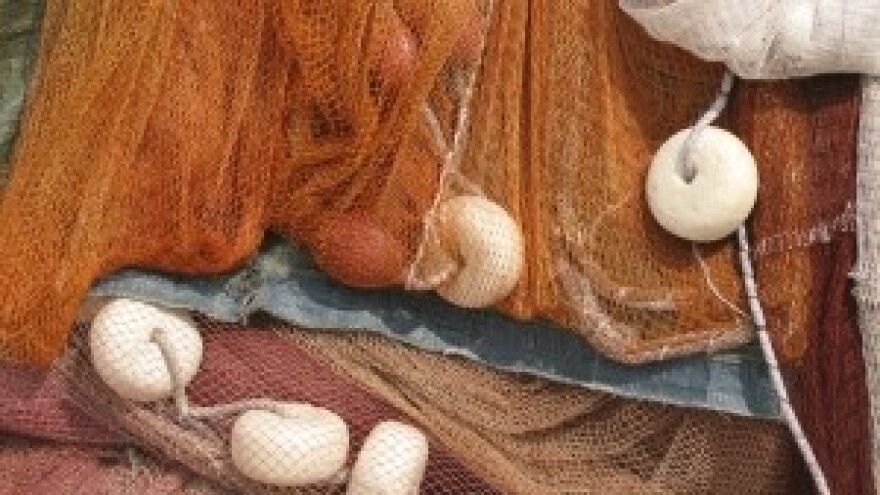 Sufinanciranje cijene plavog dizela