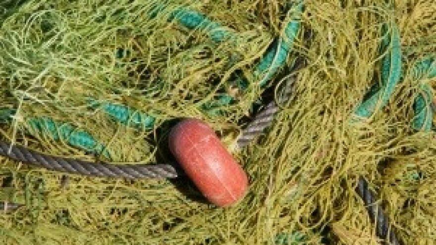 Evo što donosi novi zakon o morskom ribarstvu