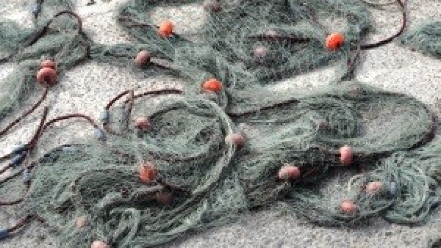 Manje ribara, više brodica