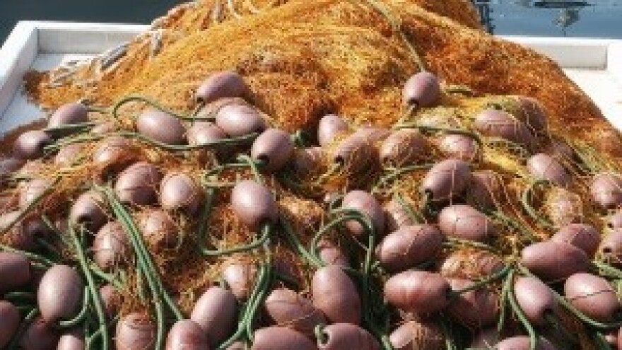 Udovoljili ribarsko-turističkim brodicama