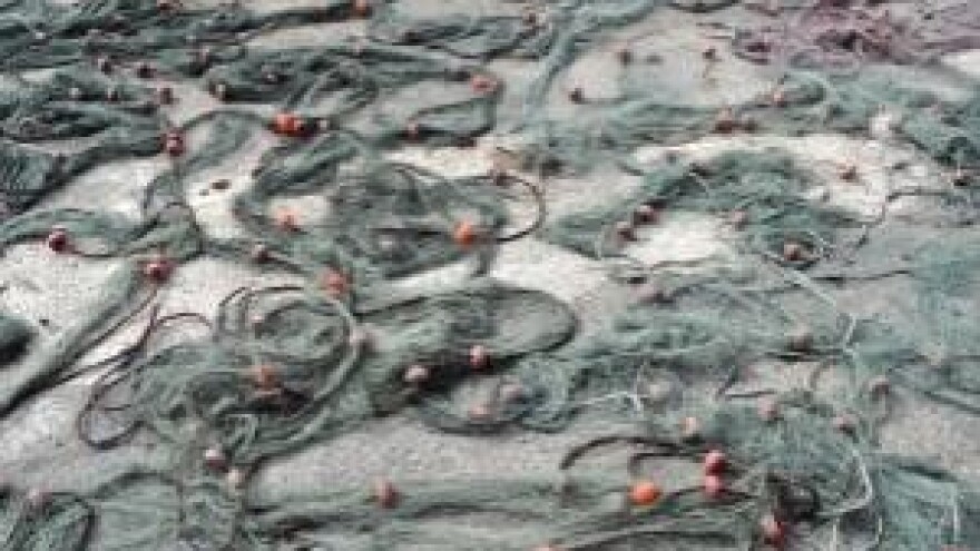 Lani ulovljeno i uzgojeno 10 posto manje ribe!