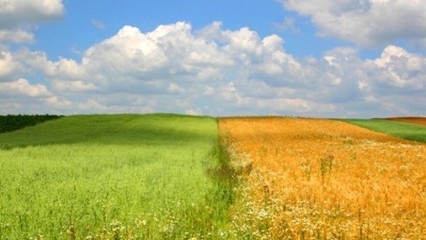 Izrada i provedba lokalne razvojne strategije LAG-ova