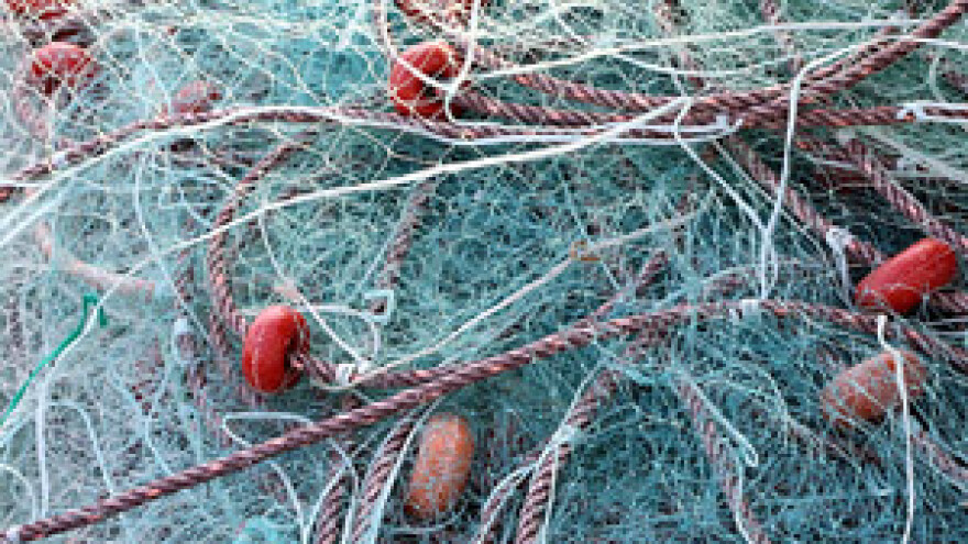 Potrebne mjere za spas ribarstva