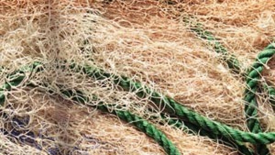 Ribari nezadovoljni pregovorima