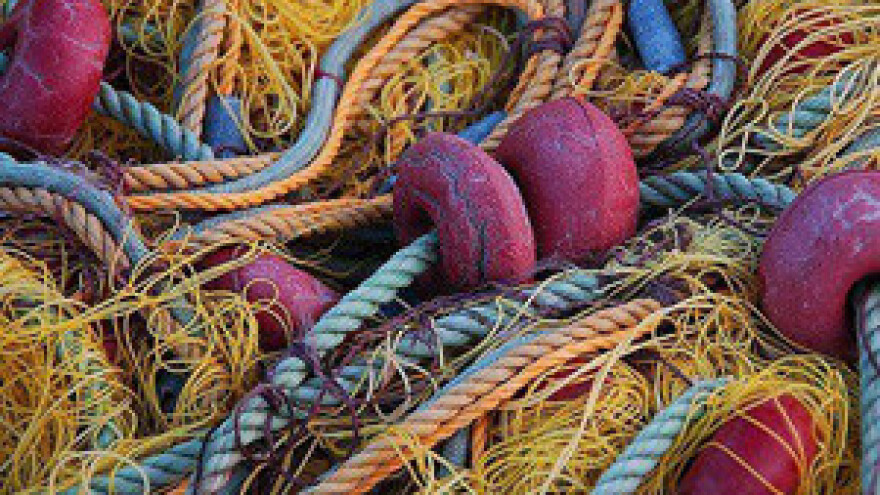 Natječaj za potporu razvoja prerade proizvoda ribarstva