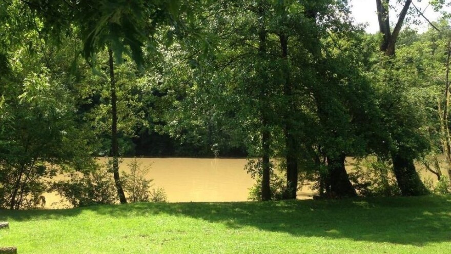 Mrežnica i dalje neprepoznatljivo mutna - tko je kriv?