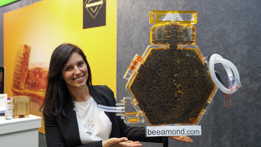 Kućna košnica odnosno uzgoj pčela u kući? Da, postoji