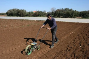 Usprkos koronavirusu: Mrkva Olivera Čačića u Bari već niče!