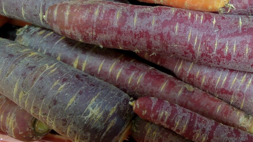 Turska crna mrkva osvaja tržište - planira se povećanje proizvodnje