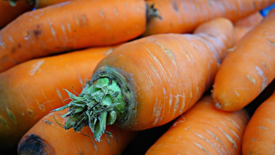 Zaštita povrća od nematoda korjenovih kvržica