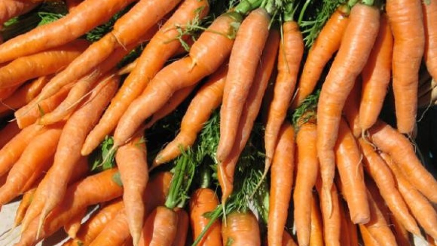 Sjeme mrkve iz vlastitog uzgoja