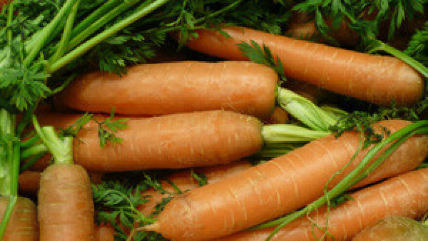 Proizvođači voća i povrća prodajom jedva podmire troškove