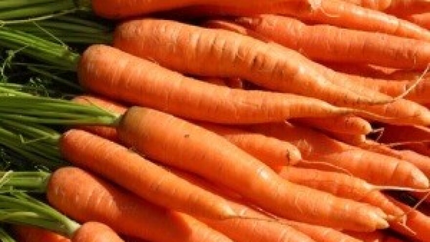 Lani smo uvezli hrane za 2,53 milijarde dolara, najviše svinjetine