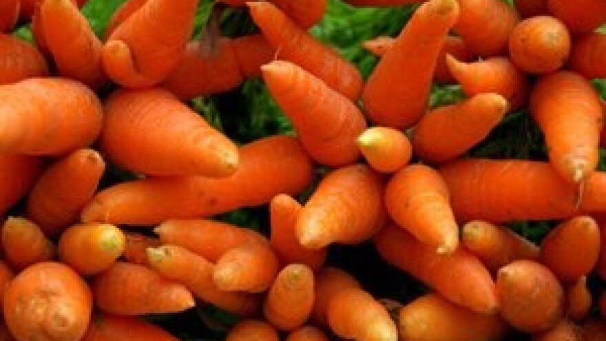 Mjere u zaštiti povrća