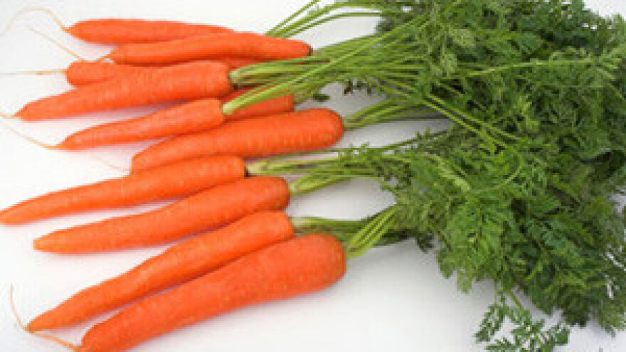 Zaštita povrtnih kultura i jagoda od bolesti