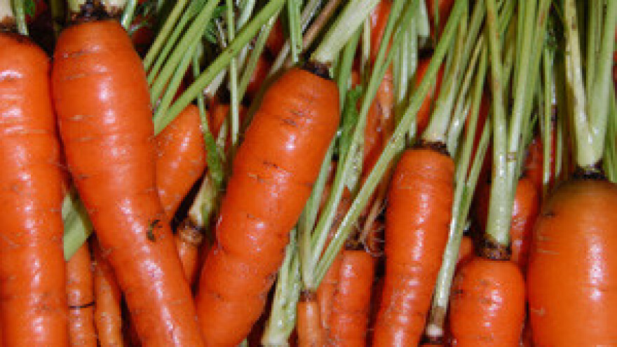 Integrirana proizvodnja povrća