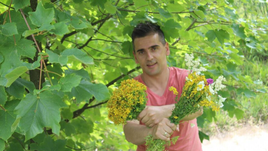 Popis bilja parka "Ravne 2" u dolini piramida