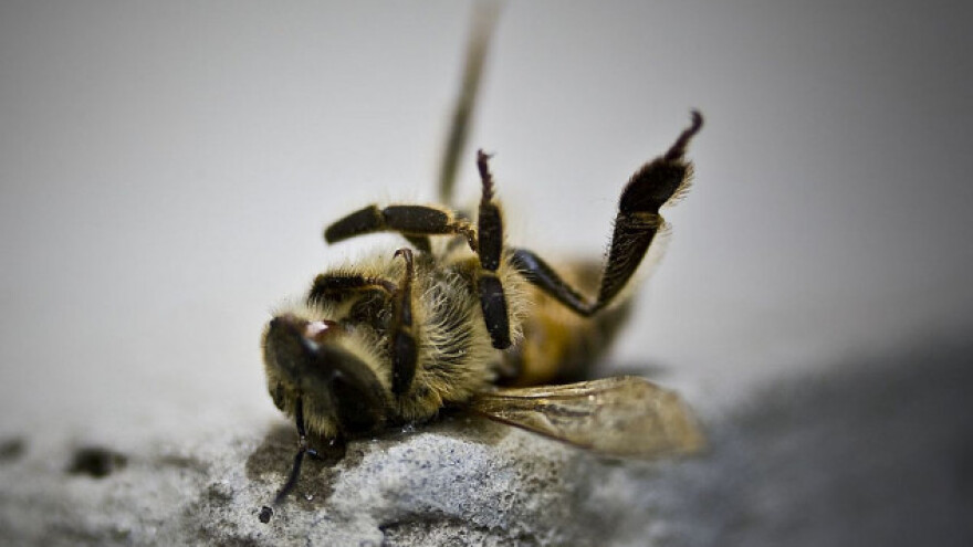 Zaštita pčela interes svih poljoprivrednika