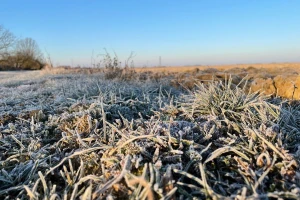 Sneg u pravo vreme. Slede ledeni dani, jak mraz, suvo i pretežno sunčano