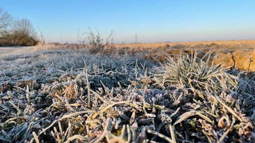 Sneg u pravo vreme. Slede ledeni dani, jak mraz, suvo i pretežno sunčano