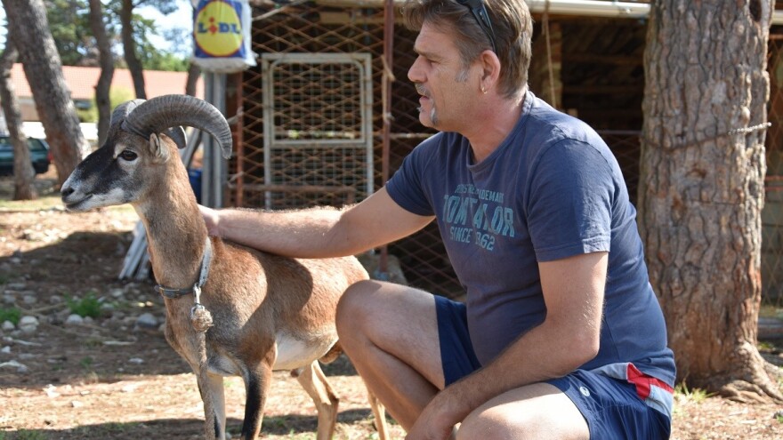 Pripitomljenog muflona Vita darovao bi Pantovčaku i predsjednici Kolindi