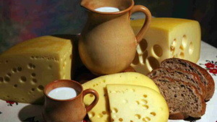 Gašenje tuzlanske mljekare PPM