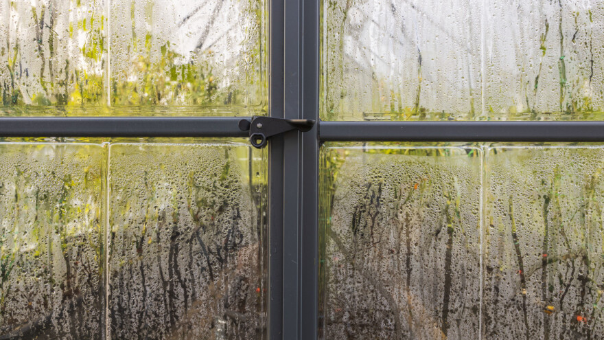 Kako riješiti problem kondenzacije plastenika?