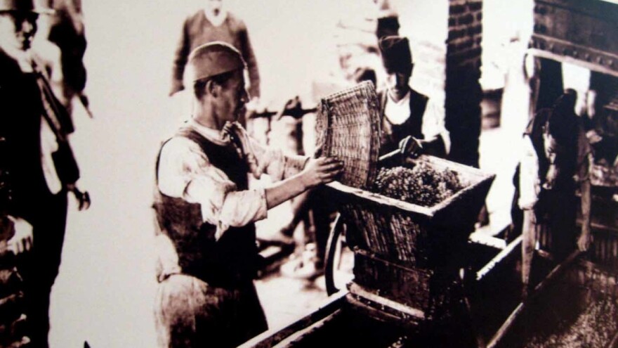 Rad sa volovima šest dana, a sa traktorom šest sati