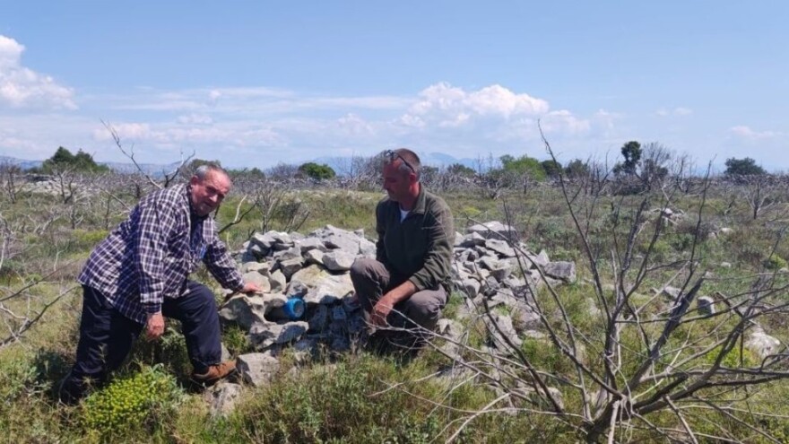 Mungosi na Čiovu: Maleni predatori napadaju perad, pernatu divljač i ne samo njih