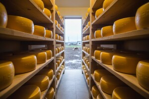 Munjevit rast ruske proizvodnje sira!