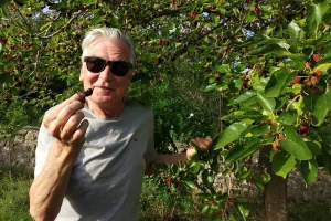 Dud ili murva: kraljica junskih voćnih delicija i eliksir zdravlja