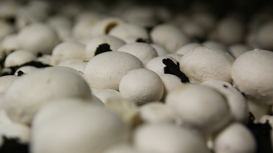 Gljive iz Nizozemske smiju imati oznaku "Podrijetlo: Njemačka"?