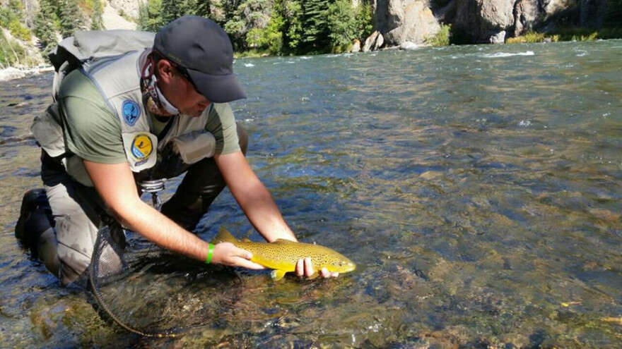 Ribiči iz BiH 10. na svijetu u mušičarenju